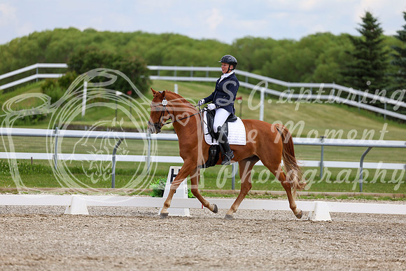 2025 - Dressage Festival - Saturday July 5th - 12486