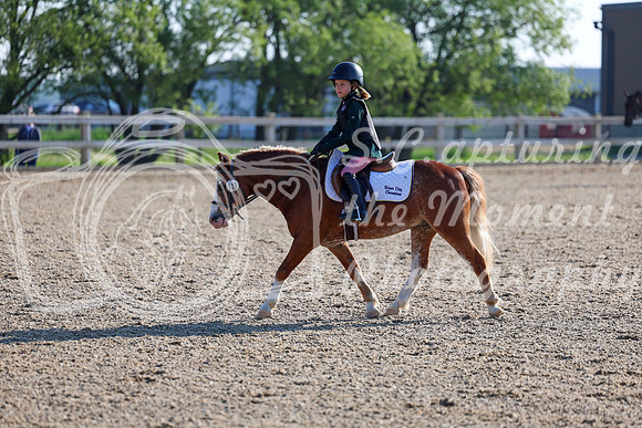 2025 - Dressage Festival - Saturday July 5th - 00032