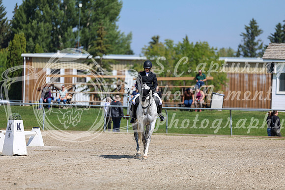 2025 - Dressage Festival - Saturday July 5th - 04733