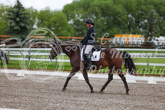 2025 - Dressage Festival - Sunday July 6th - 01685