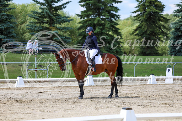 2025 - Dressage Festival - Saturday July 5th - 09724