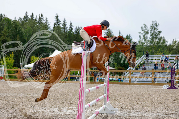 2025 - Haylee - Picco Horse Show - Friay July 25th 03307