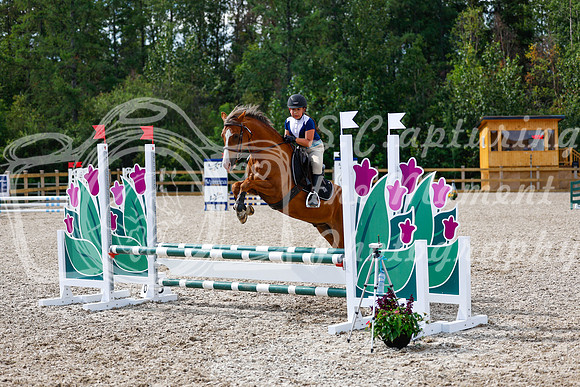 2025 - Haylee - Picco Horse Show - Thursday July 24th 01317