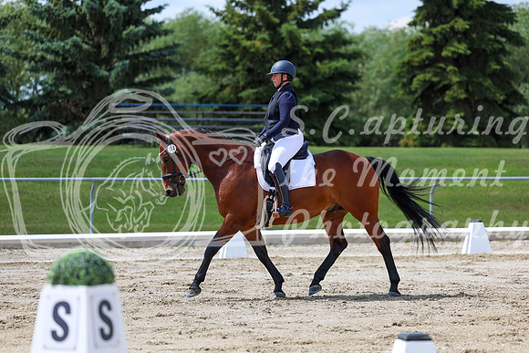 2025 - Dressage Festival - Saturday July 5th - 09730