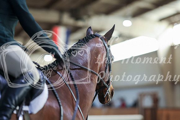 2025 - HJ Schooling - Saturday March 22nd - 7400