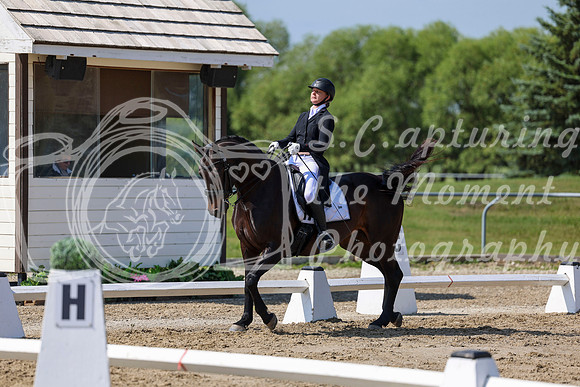 2025 - Dressage Festival - Saturday July 5th - 03748