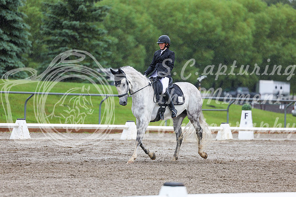2025 - Dressage Festival - Sunday July 6th - 03868