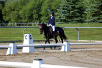 2025 - Dressage Festival - Saturday July 5th - 00644