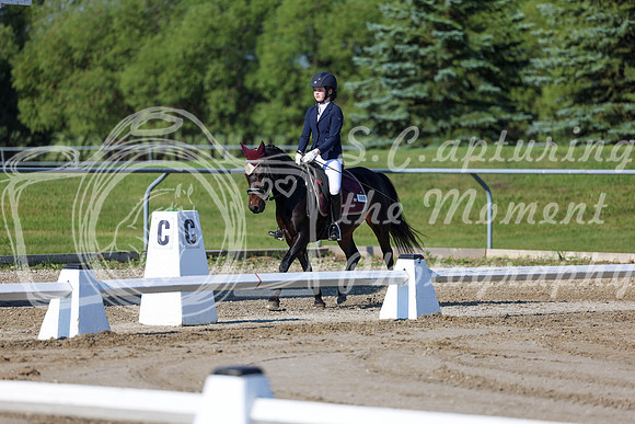 2025 - Dressage Festival - Saturday July 5th - 00644