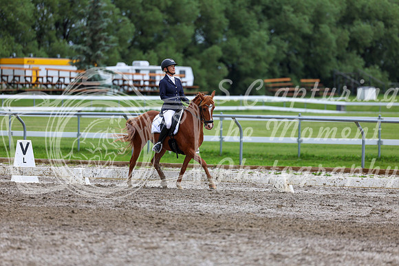 2025 - Dressage Festival - Sunday July 6th - 12307