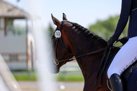 2025 - Dressage Festival - Saturday July 5th - 03551