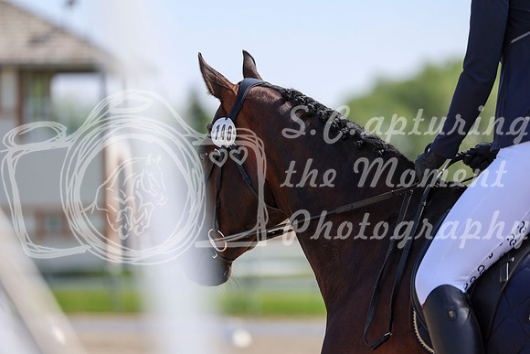 2025 - Dressage Festival - Saturday July 5th - 03551