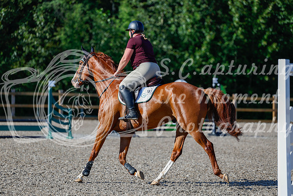2025 - Haylee - Picco Horse Show - Thursday July 24th 00097