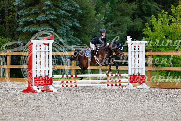2025 - Haylee - Picco Horse Show - Friay July 25th 00397