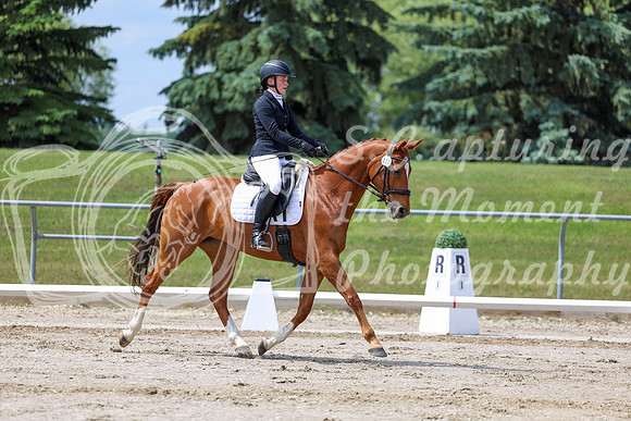 2025 - Dressage Festival - Saturday July 5th - 07873