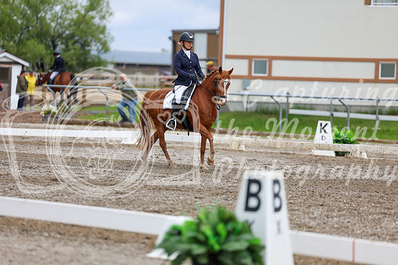 2025 - Dressage Festival - Sunday July 6th - 12201