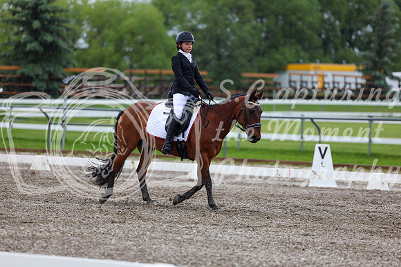 2025 - Dressage Festival - Sunday July 6th - 05560