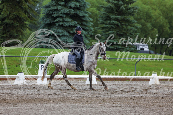 2025 - Dressage Festival - Sunday July 6th - 02294