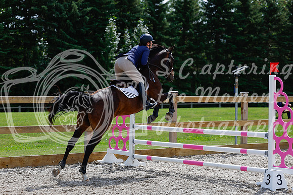 2025 - Haylee - Picco Horse Show - Thursday July 24th 02652