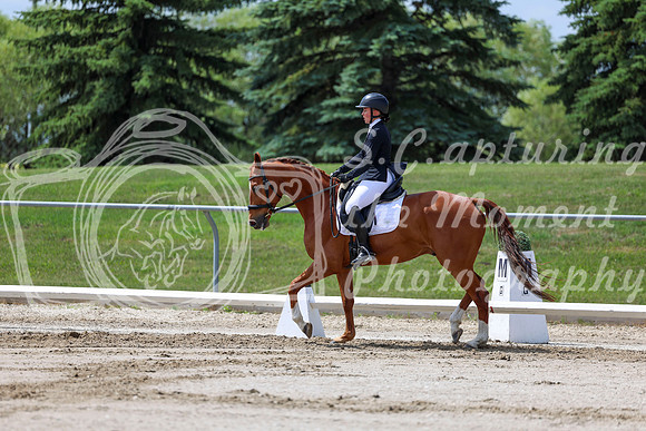 2025 - Dressage Festival - Saturday July 5th - 07987