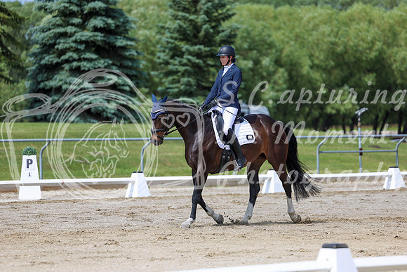 2025 - Dressage Festival - Saturday July 5th - 07497