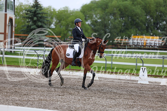 2025 - Dressage Festival - Sunday July 6th - 06514