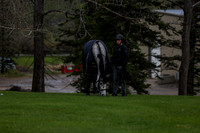 2025 - Shea - Bow Valley II - Thursday May 15th - 00010