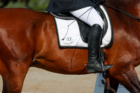 2025 - Dressage Festival - Saturday July 5th - 00969
