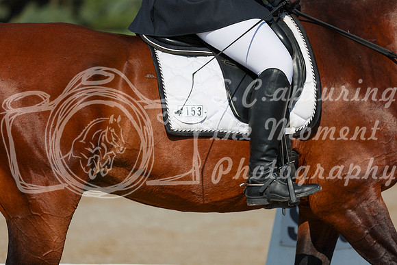 2025 - Dressage Festival - Saturday July 5th - 00969