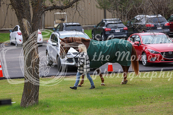 2025 - Shea - Bow Valley II - Friday May 16th - 00010