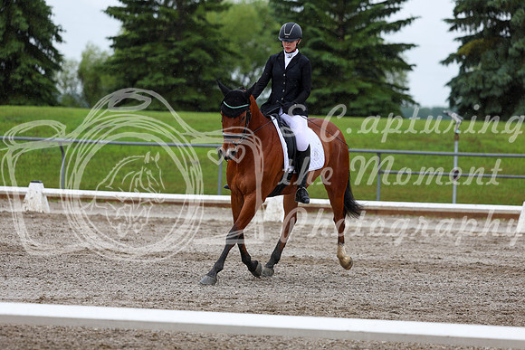 2025 - Dressage Festival - Sunday July 6th - 07314