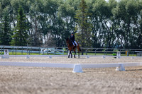 2025 - Dressage Festival - Saturday July 5th - 02320