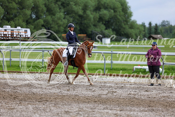 2025 - Dressage Festival - Sunday July 6th - 12312