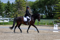 2025 - Dressage Festival - Saturday July 5th - 15234