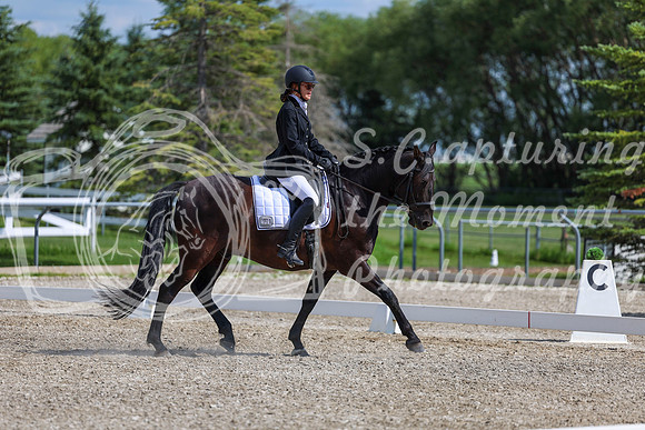 2025 - Dressage Festival - Saturday July 5th - 15234