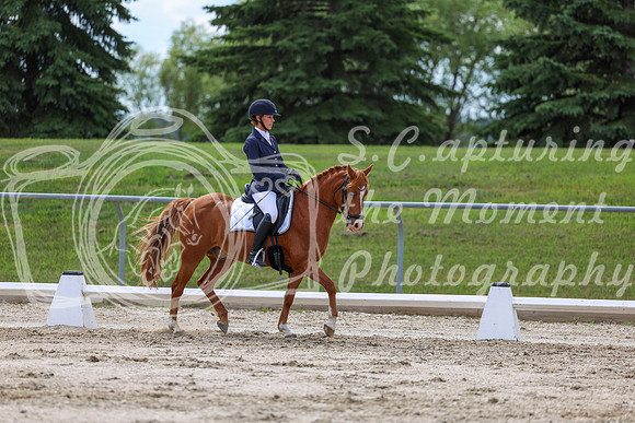 2025 - Dressage Festival - Saturday July 5th - 13801