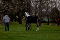 2025 - Shea - Bow Valley II - Thursday May 15th - 00014