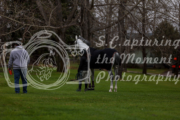 2025 - Shea - Bow Valley II - Thursday May 15th - 00014