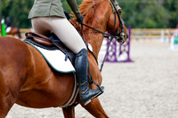 2025 - Haylee - Picco Horse Show - Saturday July 26th 06077