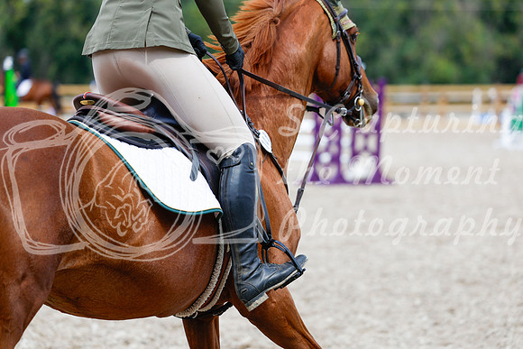 2025 - Haylee - Picco Horse Show - Saturday July 26th 06077