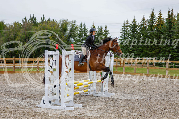 2025 - Haylee - Picco Horse Show - Friay July 25th 01205