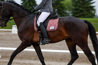 2025 - Dressage Festival - Sunday July 6th - 00607