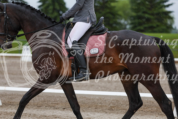 2025 - Dressage Festival - Sunday July 6th - 00607