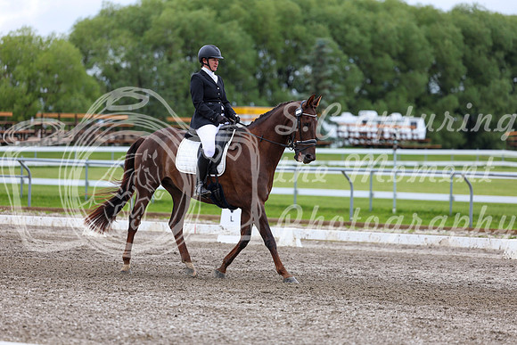 2025 - Dressage Festival - Sunday July 6th - 09585