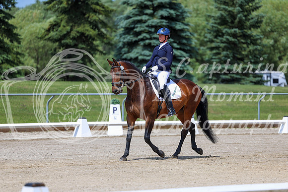 2025 - Dressage Festival - Saturday July 5th - 06082