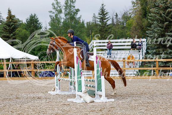 2025 - Haylee - Picco Horse Show - Sunday July 27th 01245
