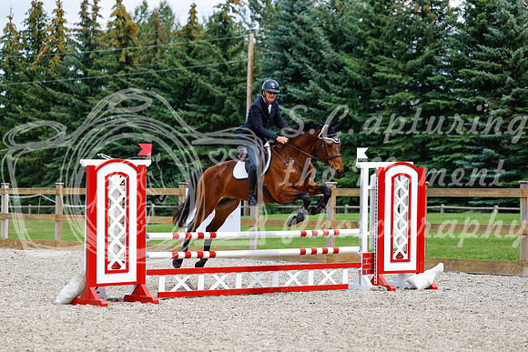 2025 - Haylee - Picco Horse Show - Saturday July 26th 06020