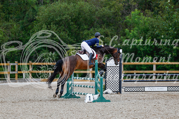 2025 - Haylee - Picco Horse Show - Sunday July 27th 03770