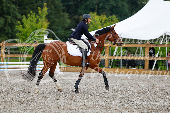 2025 - Haylee - Picco Horse Show - Sunday July 27th 00461