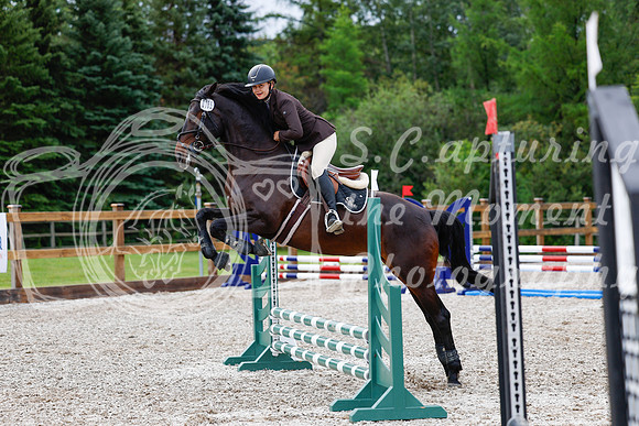 2025 - Haylee - Picco Horse Show - Friay July 25th 00447